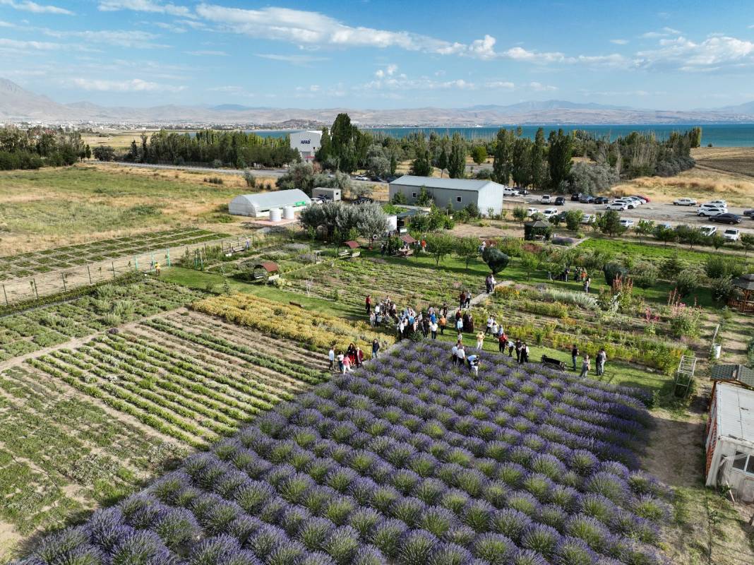 60 kilodan 1 litre yağ çıkarıyorlar: Litresi 600 liradan satılıyor 5